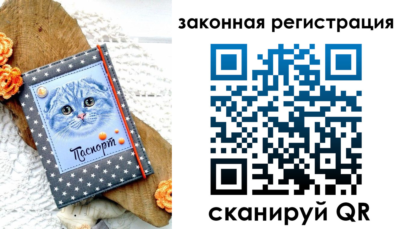 регистрация в Кохме